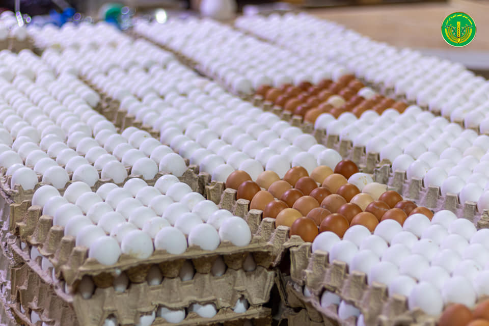 وزيع المساعدات المالية والعينية للشهر العاشر